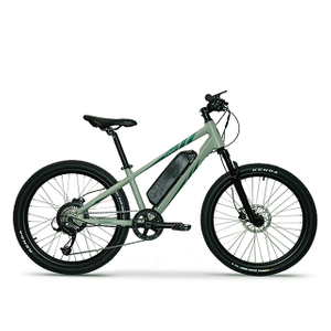 2022 EUROBIKE 24'' MINI MTB