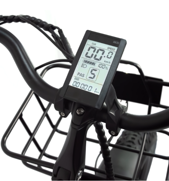 Triciclos el&eacute;ctricos2