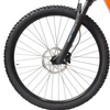 2024 Tamer 29\'\'E-MTB