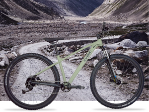 mountain electric bike_919_689.png