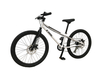 MTB Coolbo Design by Cybic 24\' con sistema de velocidad variable Shimano