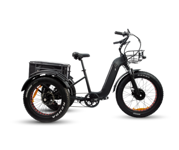 Triciclos el&eacute;ctricos1