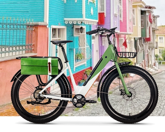 Escenarios y tipos de bicicletas electr&oacute;nicas1