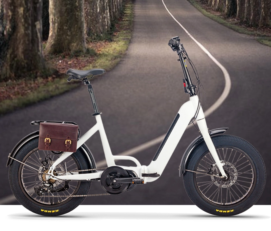 bicicleta el&eacute;ctrica con neum&aacute;ticos gruesos