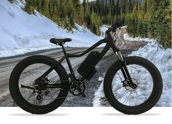 Escenarios y tipos de bicicletas electr&oacute;nicas3 (2)