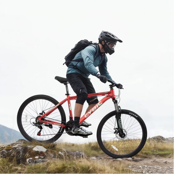 bicicleta para la venta1