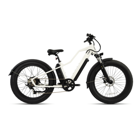 Escenarios y tipos de bicicletas electr&oacute;nicas2