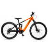 2024 Tamer 29\'\'E-MTB