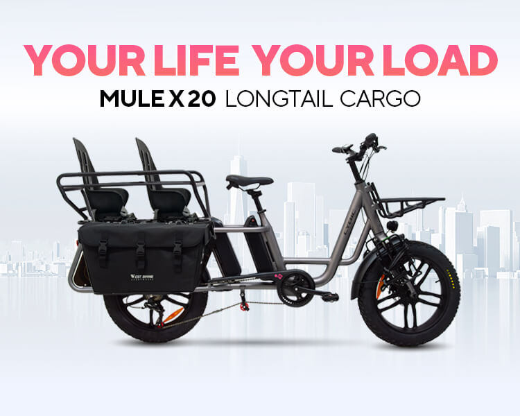 手机版750-600cargo2