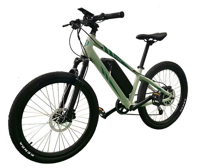 Bicicleta el&eacute;ctrica de monta&ntilde;a Cybic FIN 24